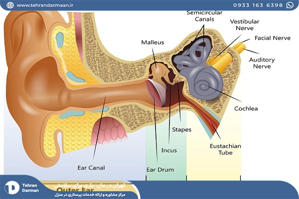 عفونت گوش میانی در بزرگسالان و سرگیجه